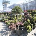 06.06.2020. Kielce. Kiermasz letni w Targach Kielce / Wiktor Taszłow / Radio Kielce