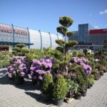 06.06.2020. Kielce. Kiermasz letni w Targach Kielce / Wiktor Taszłow / Radio Kielce