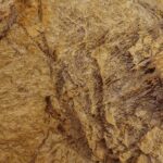 07.06.2020 Kielce. Jaskinie na Kadzielni / Wiktor Taszłow / Radio Kielce