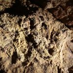 07.06.2020 Kielce. Jaskinie na Kadzielni / Wiktor Taszłow / Radio Kielce