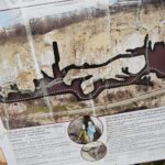 07.06.2020 Kielce. Jaskinie na Kadzielni / Wiktor Taszłow / Radio Kielce