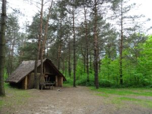 31.05.2020 Krzemionki Opatowskie. Rezerwat Krzemionki. Osada neolityczna / Emilia Sitarska / Radio Kielce