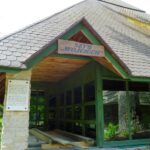 03.06.2020. Rezerwat Krzemionki. Remont / Emilia Sitarska / Radio Kielce