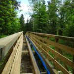 03.06.2020. Rezerwat Krzemionki. Remont / Emilia Sitarska / Radio Kielce