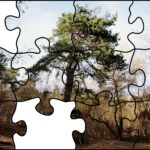 24.07.2020. Fotopuzzle z Radiem Kielce - element nr 10 / Radio Kielce