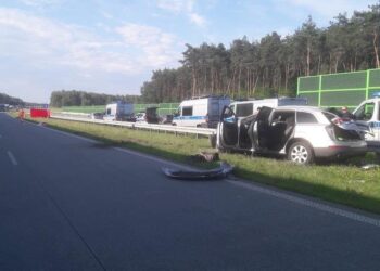 materiały policyjne