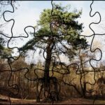 24.07.2020. Fotopuzzle z Radiem Kielce - element nr 12 / Radio Kielce