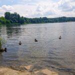 03.07.2020 Zalew w Cedzynie. Półkolonie zorganizowane przez Świętokrzyskie Wodne Ochotnicze Pogotowie Ratunkowe / Iwona Murawska / Radio Kielce