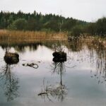 Podlasie / Danuta Rasała