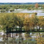 Podlasie / Danuta Rasała