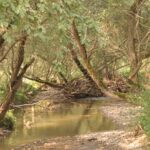 Beskid Niski / Majka Szura i Tomasz Słoń