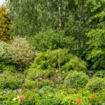 11.07.2020. Muzyczne podróże. Dolny Śląsk / Grażyna Woźniczka