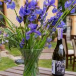 11.07.2020. Muzyczne podróże. Dolny Śląsk / Grażyna Woźniczka