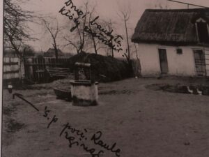 Złota, gmina Samborzec. Historyczne zdjęcie z miejsca zabójstwa policjanta. Zaznaczone miejsce śmierci / Album: 100 lat sandomierskiej Policji