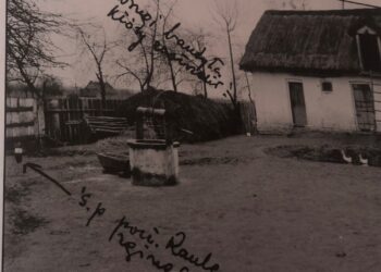 Złota, gmina Samborzec. Historyczne zdjęcie z miejsca zabójstwa policjanta. Zaznaczone miejsce śmierci / Album: 100 lat sandomierskiej Policji