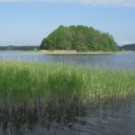 Podlasie / Danuta Rasała