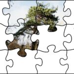 24.07.2020. Fotopuzzle z Radiem Kielce - element nr 3 / Radio Kielce