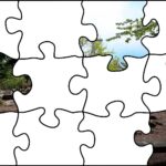 21.07.2020. Fotopuzzle z Radiem Kielce - element nr 3