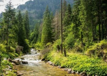 Szlak na Tatry / Piotr Korczak / Radio Kraków