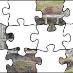 20.07.2020. Fotopuzzle z Radiem Kielce -  element 4