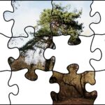 24.07.2020. Fotopuzzle z Radiem Kielce - element nr 4 / Radio Kielce