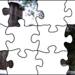 29.07.2020. Fotopuzzle z Radiem Kielce - element nr 4 / Radio Kielce