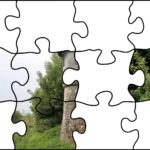 30.07.2020. Fotopuzzle z Radiem Kielce - element nr 4 / Radio Kielce