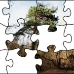 24.07.2020. Fotopuzzle z Radiem Kielce - element nr 5 / Radio Kielce