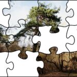 24.07.2020. Fotopuzzle z Radiem Kielce - element nr 6 / Radio Kielce