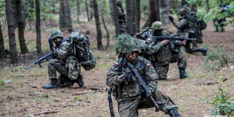 Ćwiczenia WOT / Wojska Obrony Terytorialnej