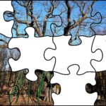 15.07.2020. Fotopuzzle z Radiem Kielce - element nr 7 / Radio Kielce