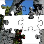 17.07.2020. Fotopuzzle z Radiem Kielce - element nr 7 / Radio Kielce