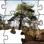 24.07.2020. Fotopuzzle z Radiem Kielce - element nr 7 / Radio Kielce