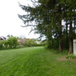 Reportaż „TEN Polak”. Na zdjęciu: działka na której jest pomnik Stefana Dudy - widok w kierunku miejscowości Taufkirchen / archiwum prywatne