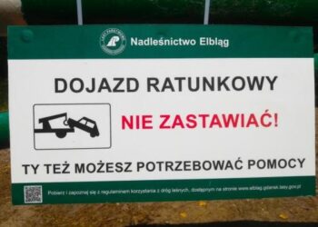 Nadleśnictwo Elbląg