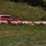 Beskid Niski / Majka Szura i Tomasz Słoń