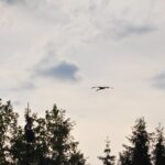 Beskid Niski / Majka Szura i Tomasz Słoń