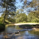 Beskid Niski / Majka Szura i Tomasz Słoń