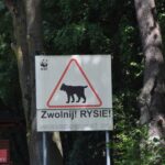 Beskid Niski / Majka Szura i Tomasz Słoń