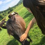 Beskid Niski / Majka Szura i Tomasz Słoń