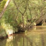 Beskid Niski / Majka Szura i Tomasz Słoń