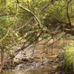 Beskid Niski / Majka Szura i Tomasz Słoń