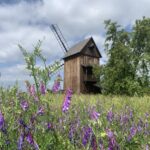 11.07.2020. Muzyczne podróże. Dolny Śląsk / Grażyna Woźniczka