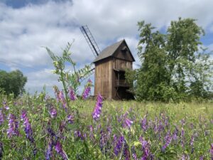 11.07.2020. Muzyczne podróże. Dolny Śląsk / Grażyna Woźniczka