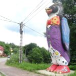 18.07.2020. Doły Biskupie. Pingwin / Emilia Sitarska / Radio Kielce