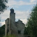 11.07.2020 Mokrsko Górne. Ponad 100-letnie bocianie gniazdo na ruinach zamku / Ewa Pociejowska-Gawęda / Radio Kielce