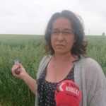 03.07.2020 Słupia Jędrzejowska. Stacja Doświadczalna Oceny Odmian. Na zdjęciu Ewa Kotarska - dyrektor Stacji Doświadczalnej Oceny Odmian w Słupi Jędrzejowskiej / Ewa Pociejowska-Gawęda / Radio Kielce