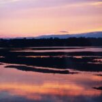 Podlasie / Danuta Rasała