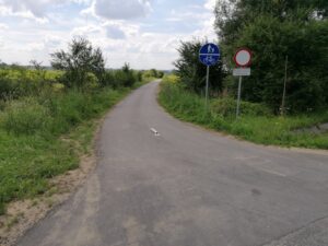 Ścieżka rowerowa: Wiślica - Opatowiec - Kazimierza Wlk. / Marta Gajda / Radio Kielce