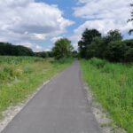 Ścieżka rowerowa: Wiślica - Opatowiec - Kazimierza Wlk. / Marta Gajda / Radio Kielce